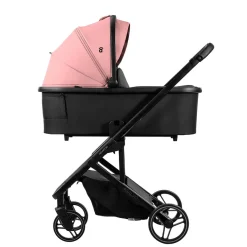 - Trío Newton Rosa*ASALVO Best