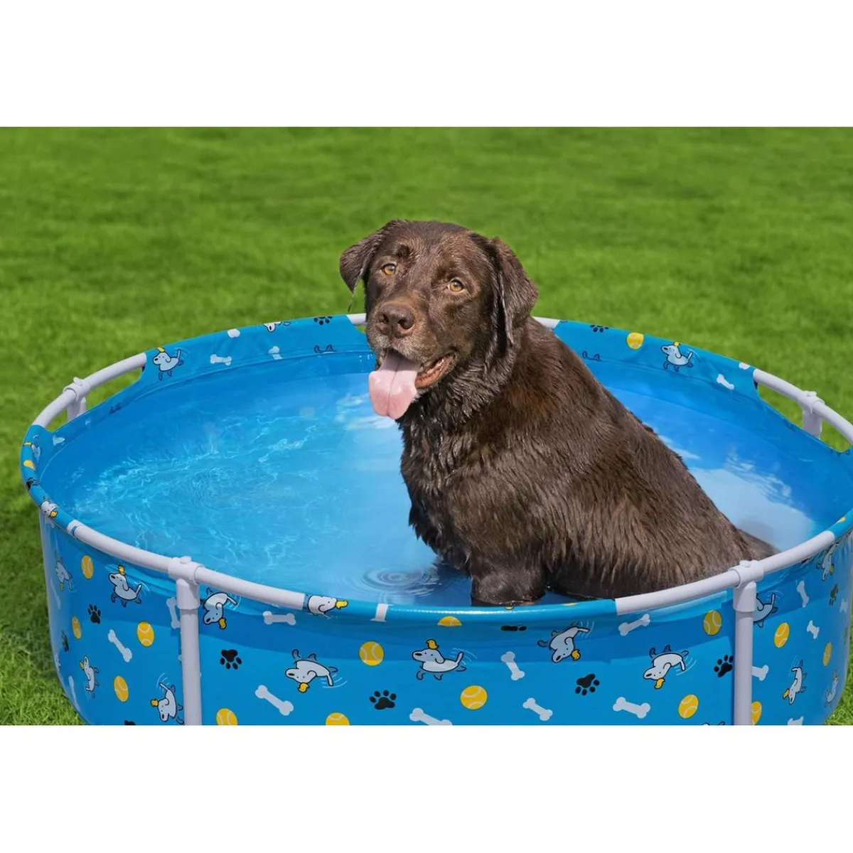 BestWay - Piscina de juego para mascotas*BEST WAY New