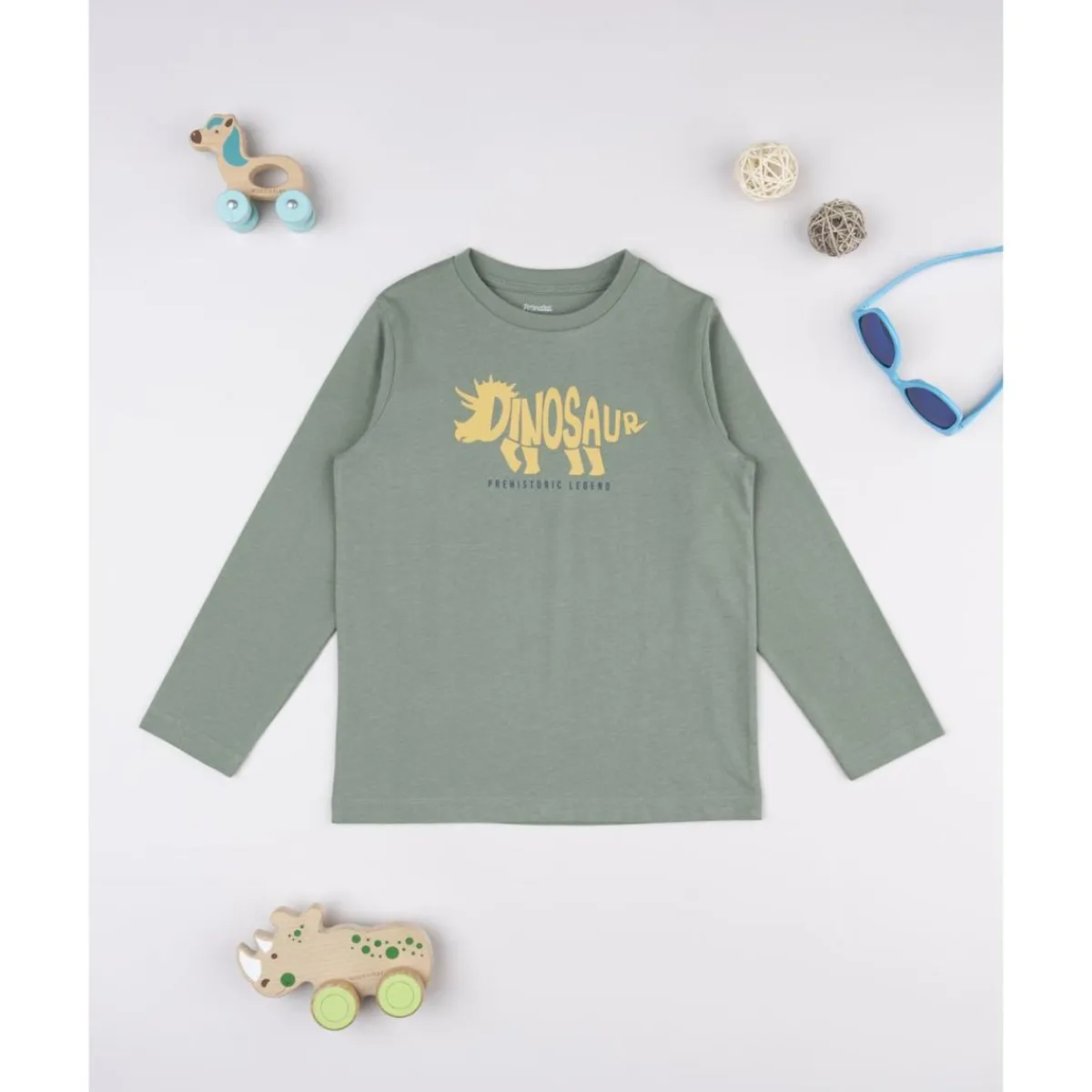 New Camiseta verde con estampado de dinosaurio Niño·Niño 2-10 Años|Niño 2-10 Años·Camisas Y Camisetas