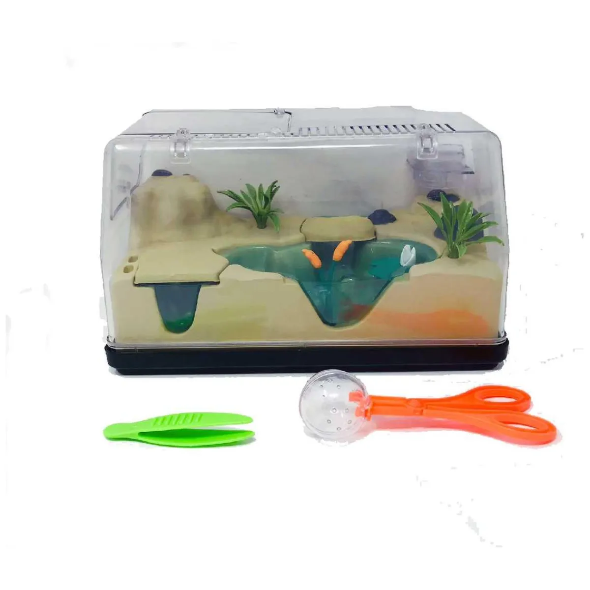 - Insecti Plus*CEFA Online