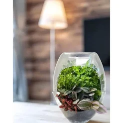 Best Toys - Terrario educativo con luz y libro guía Botani Plus ㅤ Steam