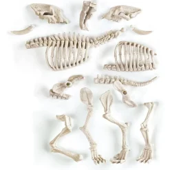 Discount - Juego científico de excavación y montaje Smilodon fosforescente ㅤ Steam