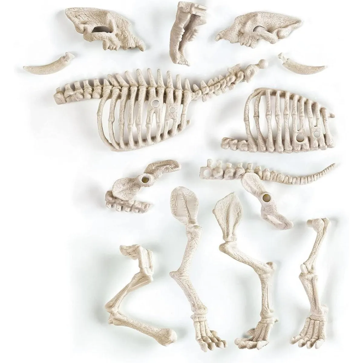 Discount - Juego científico de excavación y montaje Smilodon fosforescente ㅤ Steam