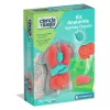 New - Kit Anatomía Squishy Organs Steam