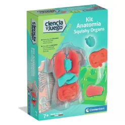 New - Kit Anatomía Squishy Organs Steam