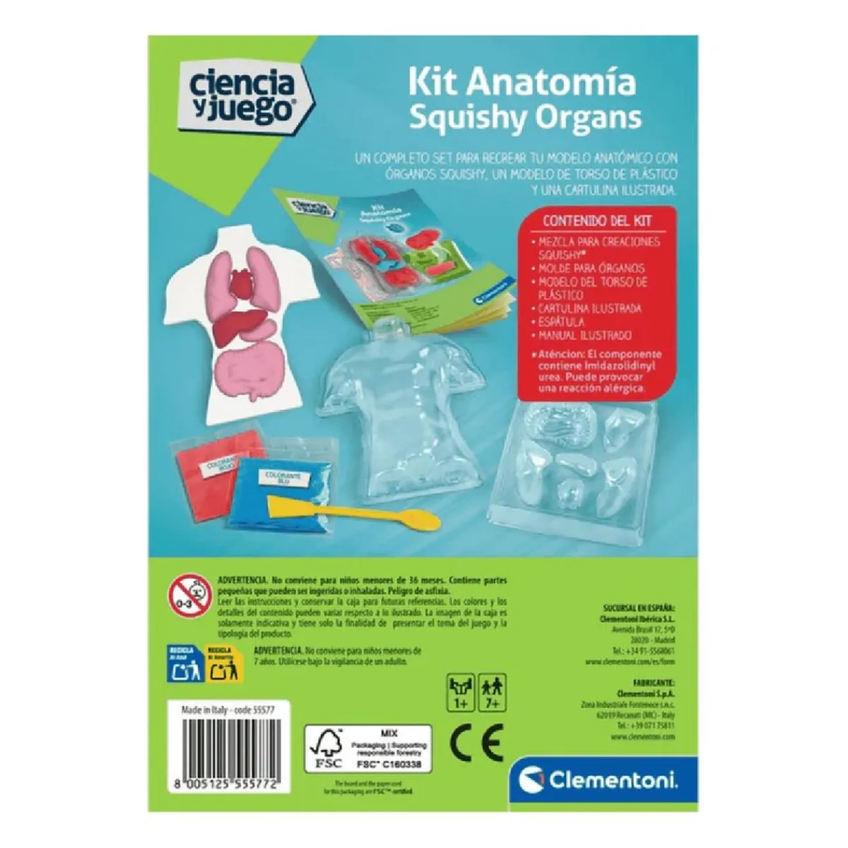 New - Kit Anatomía Squishy Organs Steam