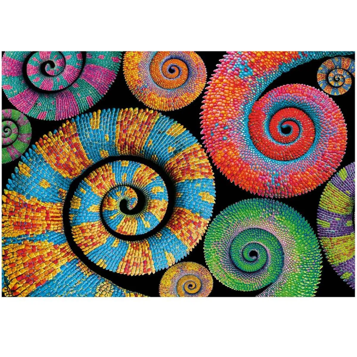 - Puzzle 500 piezas Colorboom Collection - Colas rizadas*CLEMENTONI Clearance