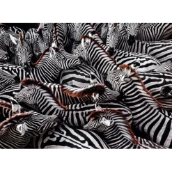 New - Rompecabezas Paisajes National Geographic 1000 piezas ㅤ Juegos Y Puzzles