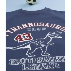 Conjunto jogging azul y burdeos para niño*Prenatal Clearance