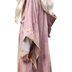 Disfraz de Dumbledore Harry Potter para niños 10-12 años*Funidelia Online
