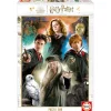 - Harry Potter - Puzzle de 500 Piezas ㅤ*EDUCA BORRAS Best