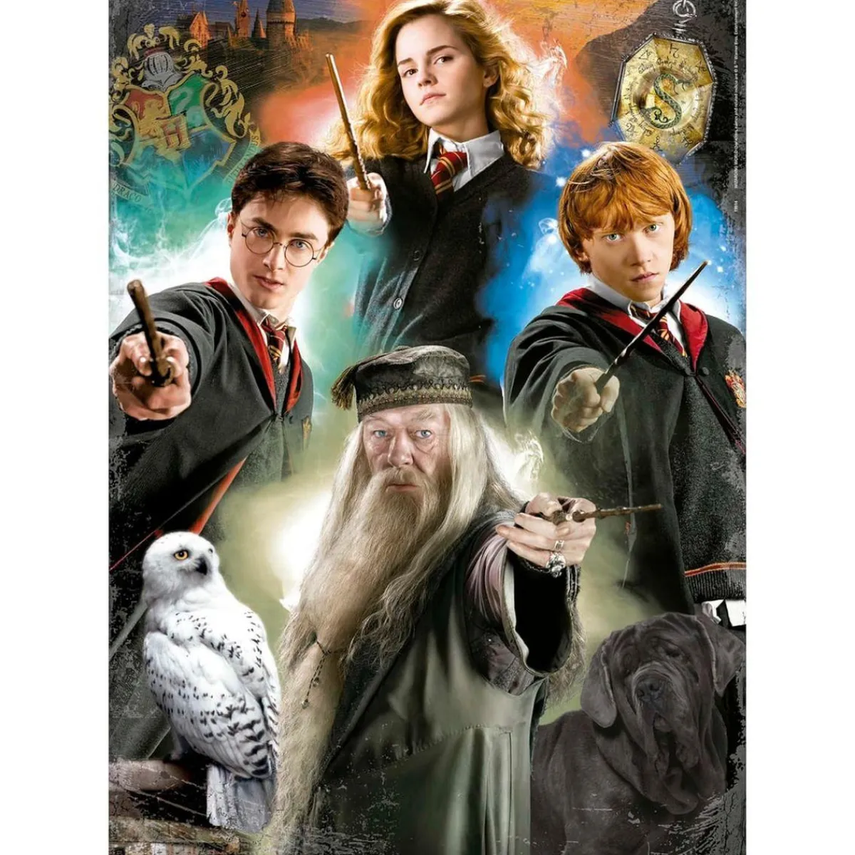 - Harry Potter - Puzzle de 500 Piezas ㅤ*EDUCA BORRAS Best