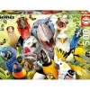 Best - Puzzle de pajarito: 500 piezas, 48x34 cm con Cola Fix para montaje ㅤ Juegos Y Puzzles