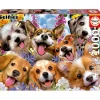 Online - Puzzle Paisaje Perros 1000 Piezas ㅤ Juegos Y Puzzles