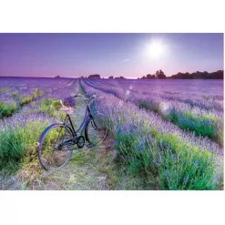 Educa Borrás - Bicicleta en campo de lavanda - Puzzle 1000 piezas*EDUCA BORRAS Online