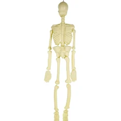 Clearance Guirnaldas decorativas para fiestas y eventos ㅤ Disfraces|Halloween