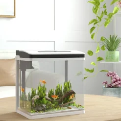 Homcom - Acuario 13L con filtro e iluminación*PawHut Online