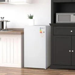 - Mini Nevera Blanca con Congelador 91L*Homcom