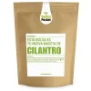 Best Kit de cultivo de cilantro Steam