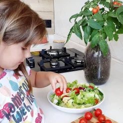 New Kit de cultivo de tomate Cherry orgánico para interior Steam