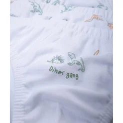 Pack de 7 Braguitas de Dinosaurios*Prenatal Discount