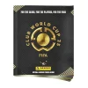- Álbum FIFA Club World Cup 2025*PANINI Clearance