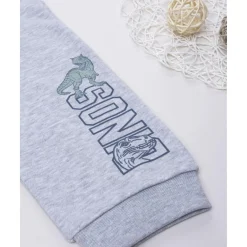 Pantalón niño gris “Dinos” felpado*Prenatal Hot