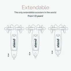 Xtend Mini+ Rose Pink*SMARTRIKE Outlet