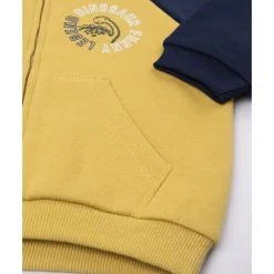 Online Sudadera amarilla y azul para niño Niño·Bebé Niño 3-36 Meses|Bebé Niño 3-36 Meses·Jerséis Y Cardigans