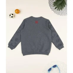 Sudadera gris para niño con Spiderman Niño 2-10 Años·Abrigos Y Plumíferos|Niño·Niño 2-10 Años