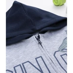 Sudadera niño gris/azul “Dinos” con capucha*Prenatal Online