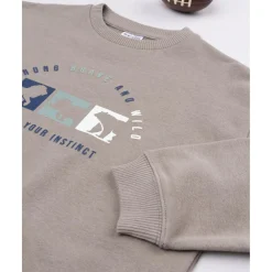 New Sudadera niño marrón dinosaurios Niño 2-10 Años·Abrigos Y Plumíferos|Niño·Niño 2-10 Años